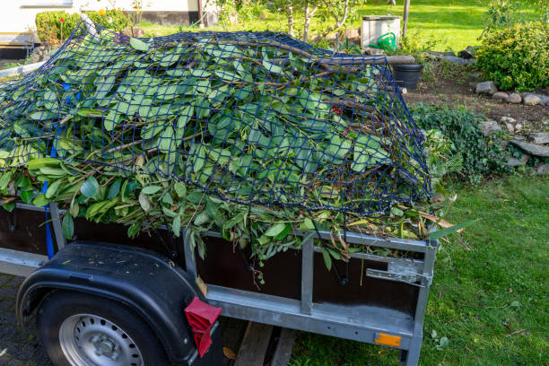 Best Property Management Cleanouts  in Eielson Af, AK